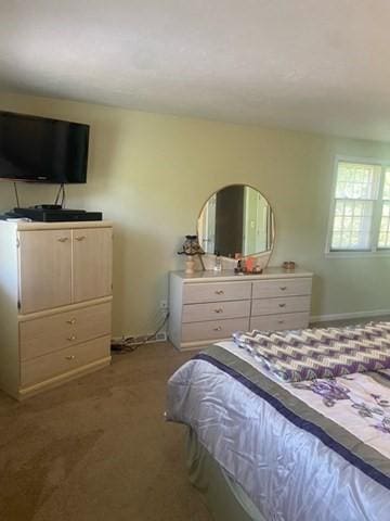 19 Camelot Ct Unit 19, Stoughton, MA 02072 - bedroom with light colored carpet