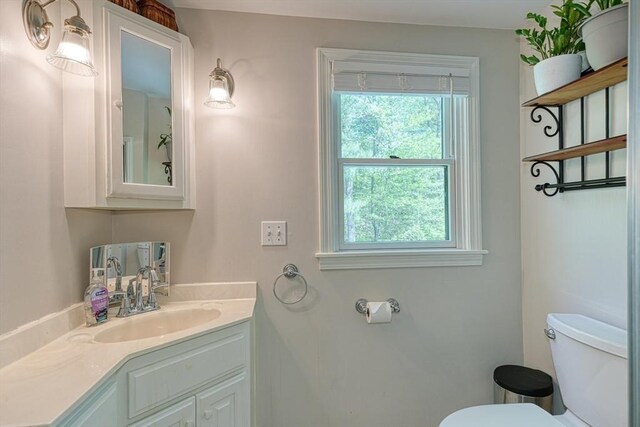 half bath with toilet, healthy amount of natural light, and vanity