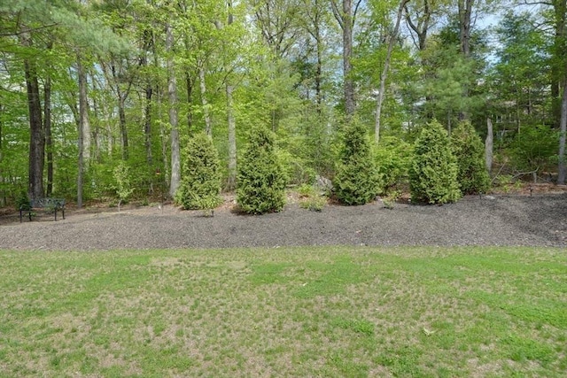 view of green lawn