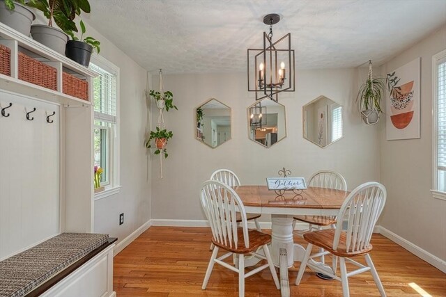 dining room with a chandelier, light wood-type flooring, and plenty of natural light