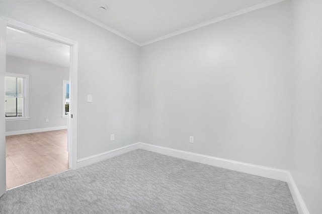 carpeted empty room with crown molding