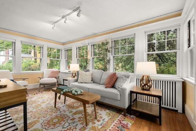 sunroom featuring radiator heating unit, track lighting, hardwood / wood-style flooring, and baseboards