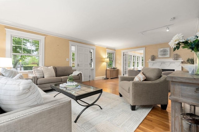 living room featuring light wood-type flooring, track lighting, a fireplace, baseboards, and crown molding