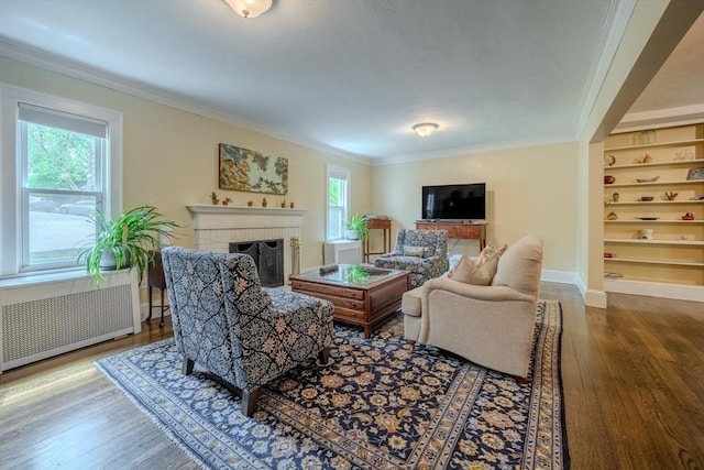 7 Argyle St, Worcester, MA 01609 - living area featuring plenty of natural light, wood finished floors, ornamental molding, radiator, and baseboards