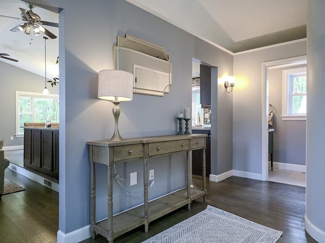 357 Ledge Rd, Seekonk, MA 02771 - hall with plenty of natural light, baseboards, lofted ceiling, and dark wood-style floors