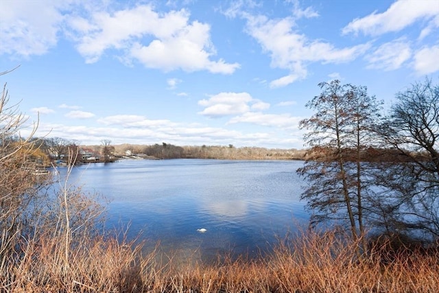 property view of water