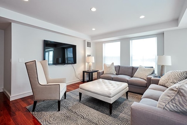 living room with dark wood-type flooring