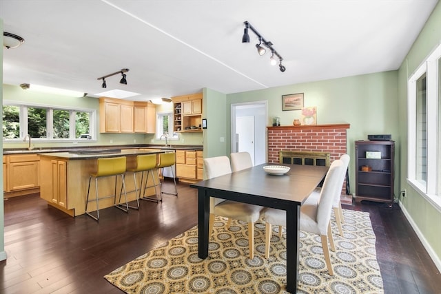 dining space featuring a fireplace, dark hardwood / wood-style floors, sink, and rail lighting