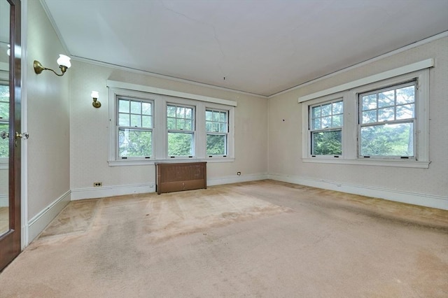 92 Dean Rd, Brookline, MA 02445 - carpeted spare room featuring ornamental molding and baseboards