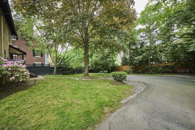 92 Dean Rd, Brookline, MA 02445 - view of yard