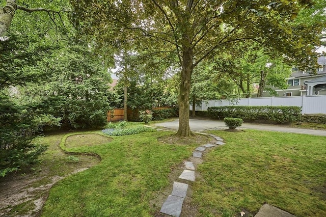 92 Dean Rd, Brookline, MA 02445 - view of yard