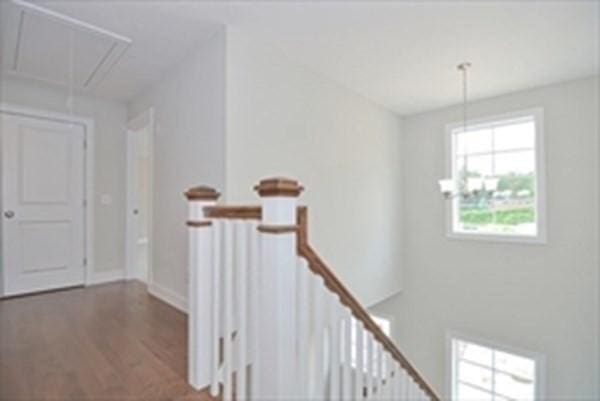 hallway with dark hardwood / wood-style floors