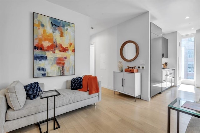 living room with light hardwood / wood-style flooring