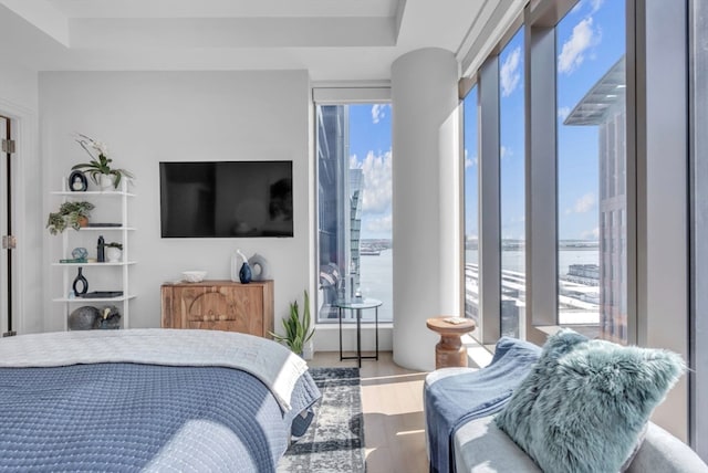 bedroom with a raised ceiling, multiple windows, and hardwood / wood-style floors