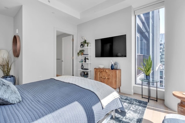 bedroom featuring light hardwood / wood-style flooring