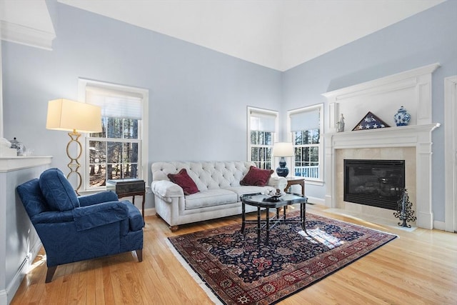 living area featuring baseboards, wood finished floors, and a fireplace