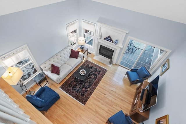 living area featuring a premium fireplace, high vaulted ceiling, and wood finished floors