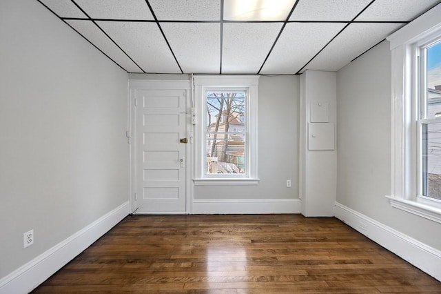 interior space with a drop ceiling and dark hardwood / wood-style flooring