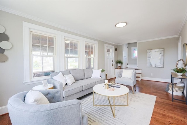 21 Trefton Dr, Braintree, MA 02184 - living room with crown molding, baseboards, and wood finished floors