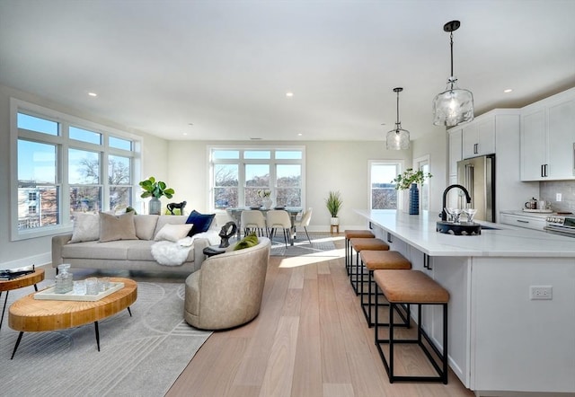 living room with light hardwood / wood-style floors and sink