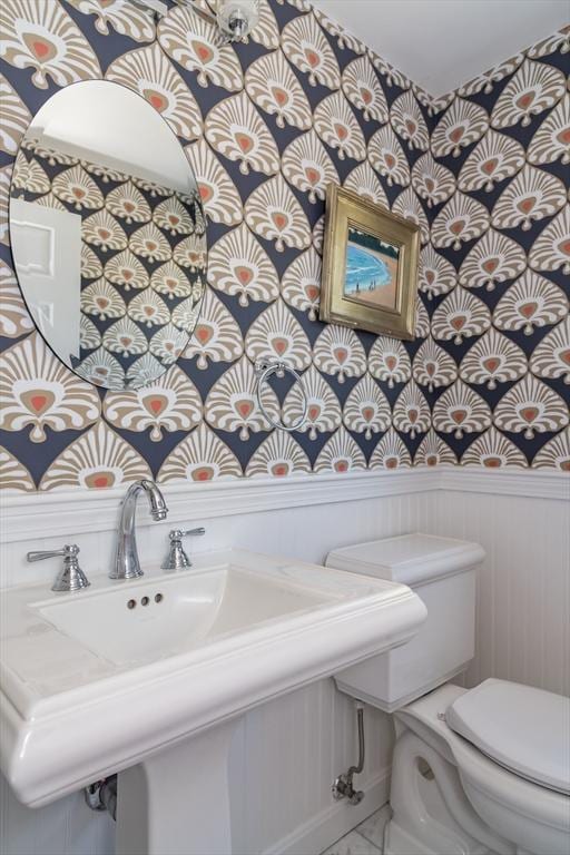 half bath featuring a sink, wainscoting, and toilet