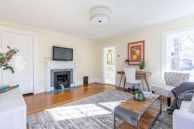 living room with hardwood / wood-style flooring