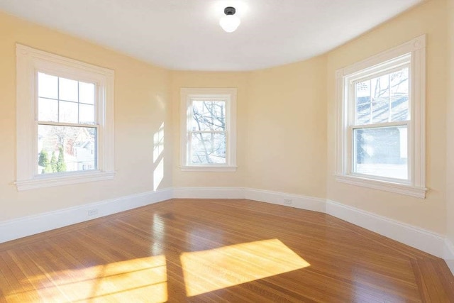 spare room with a healthy amount of sunlight and wood-type flooring