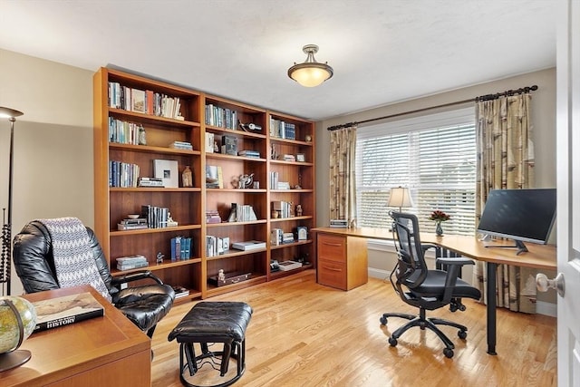 office space featuring light wood-type flooring