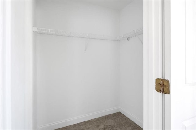 spacious closet with dark carpet