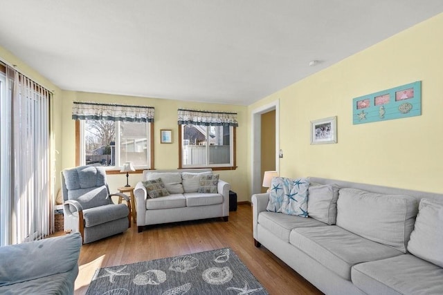 living room featuring wood finished floors