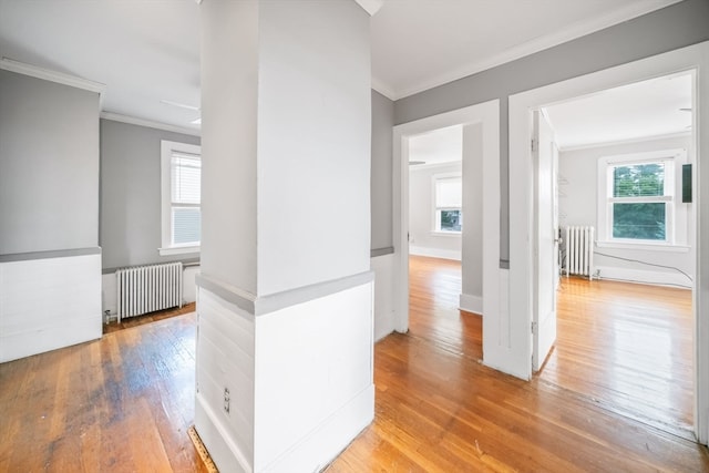 corridor featuring a wealth of natural light, radiator, and hardwood / wood-style floors