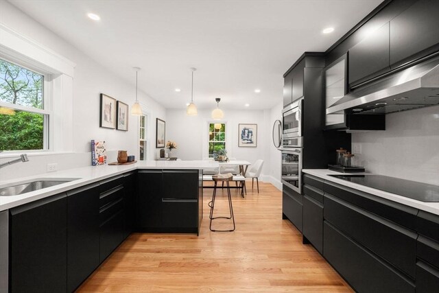 22 Carter St, Newton, MA 02460 - kitchen with a sink, dark cabinets, stainless steel appliances, light wood-style floors, and light countertops