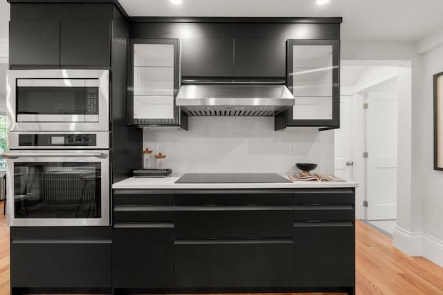 22 Carter St, Newton, MA 02460 - kitchen with appliances with stainless steel finishes, ventilation hood, light wood-style floors, dark cabinetry, and light countertops