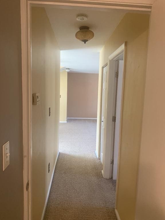 hallway with baseboards and carpet floors