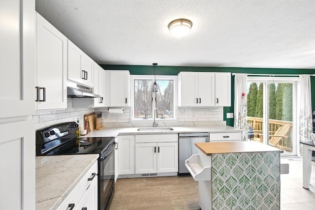 kitchen featuring tasteful backsplash, black range with electric stovetop, under cabinet range hood, dishwasher, and a sink