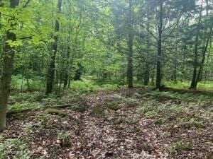 0 Johnnycake Hill Rd, Middlefield, MA 01243