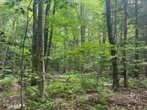 0 Johnnycake Hill Rd, Middlefield, MA 01243
