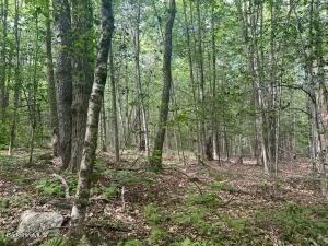 0 Johnnycake Hill Rd, Middlefield, MA 01243