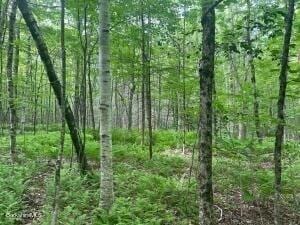 0 Johnnycake Hill Rd, Middlefield, MA 01243