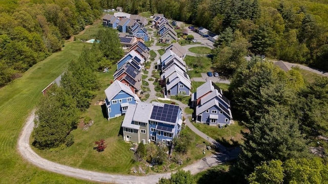aerial view of residential area with a forest