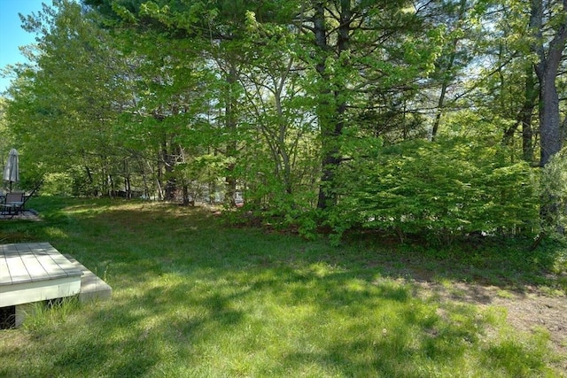 view of green lawn