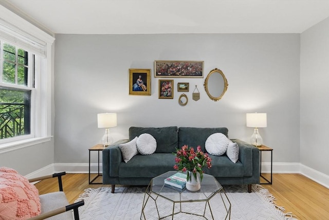 72 Strathmore Rd Unit 10B, Boston, MA 02135 - living room with baseboards and wood finished floors