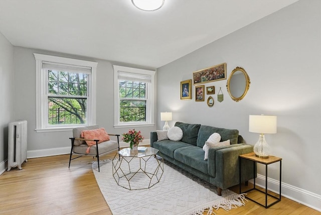 72 Strathmore Rd Unit 10B, Boston, MA 02135 - living area with radiator, baseboards, and light wood finished floors