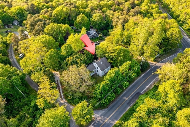 100 Center St, Dennis, MA 02660 - bird's eye view of a forest