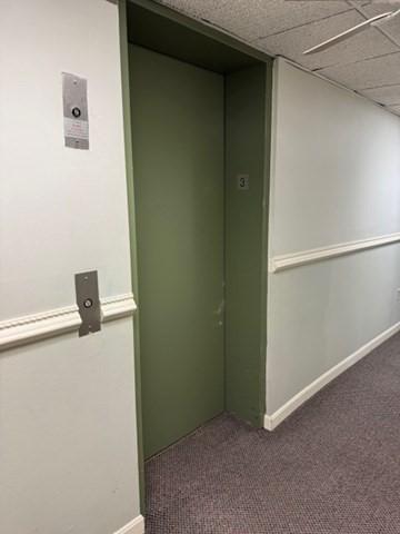 305 Pine St Unit 18, Lowell, MA 01851 - hall with carpet and baseboards