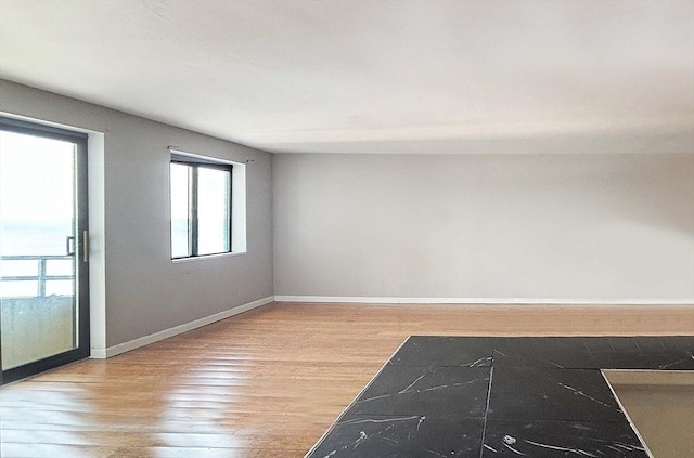 empty room featuring plenty of natural light and light hardwood / wood-style floors