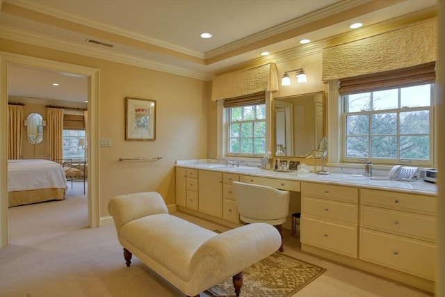 bathroom featuring vanity and crown molding