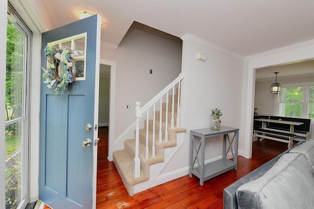 11 Winchester Ave, Bourne, MA 02532 - entrance foyer featuring crown molding, wood finished floors, stairway, and baseboards