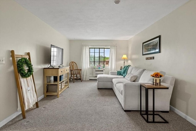 103 Grove St Unit 341, Rockland, MA 02370 - carpeted living area with baseboards