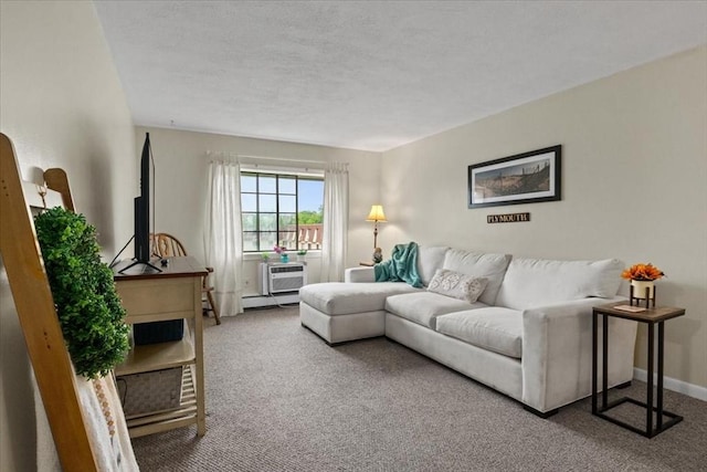 103 Grove St Unit 341, Rockland, MA 02370 - living area with carpet floors and a baseboard heating unit